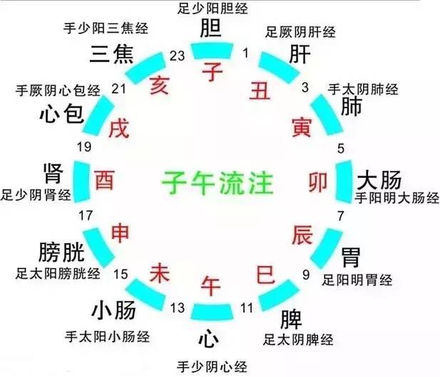 人體最佳的洗澡、睡覺(jué)、吃水果、美容...時(shí)間，太全了