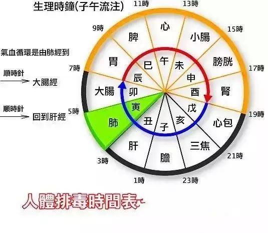 美容師必知的肝膽排毒原理與話術(shù)！