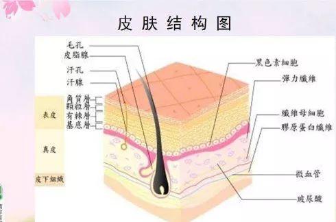 吳越學(xué)校2019新課程發(fā)布會(huì)重磅來襲！速來圍觀！